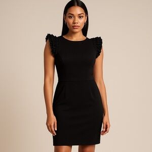 Saint Tropez West Black Ruffle Sleeve Sheath Size 8 Minimalist Quiet Luxury LBD